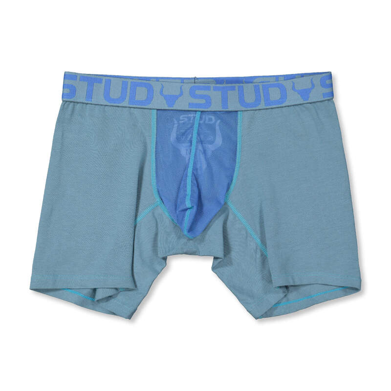 Stud Briefs - Learning Center